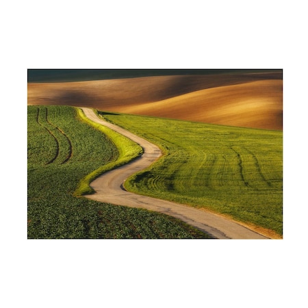 Tomasz Rojek 'A Winding Dirt Road' Canvas Art, 12x19